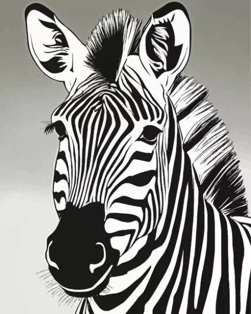 Black And White Zebra Diamond Painting