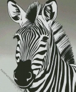 Black And White Zebra Diamond Painting