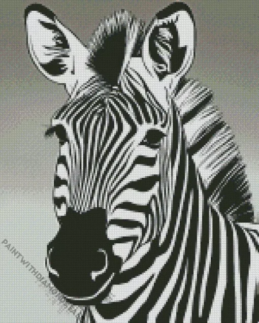 Black And White Zebra Diamond Painting