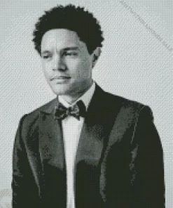 Black And White Trevor Noah Diamond Painting