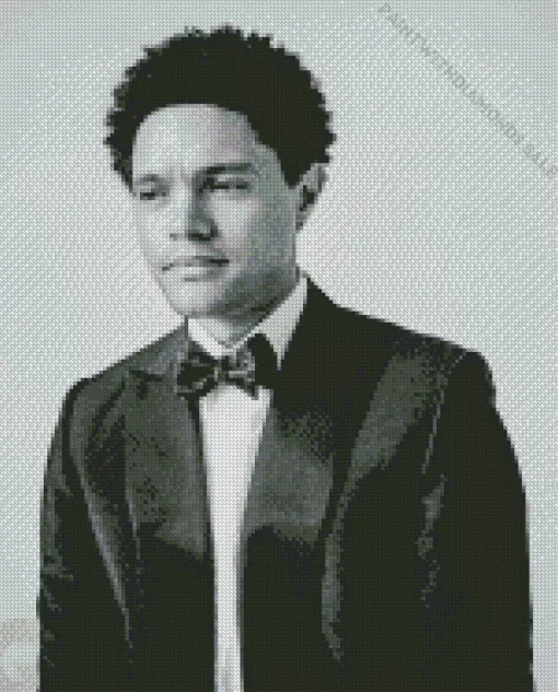 Black And White Trevor Noah Diamond Painting