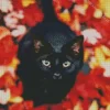 Black Cat In Autumn Leaves Diamond Painting