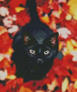 Black Cat In Autumn Leaves Diamond Painting