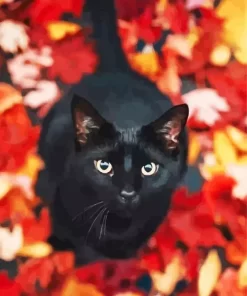 Black Cat In Autumn Leaves Diamond Painting