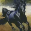 Black Horse Running In Field Diamond Painting