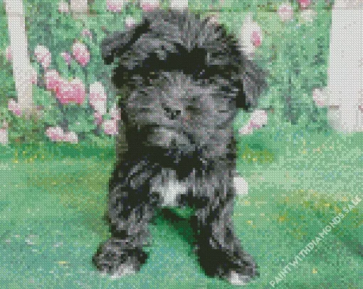 Black Morkie Diamond Painting