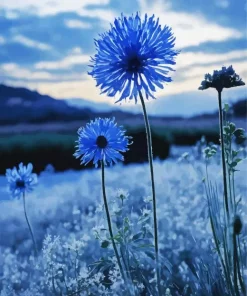 Blue Dandelions Diamond Painting