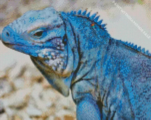 Blue Iguana Diamond Painting