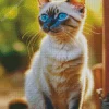 Blue Eyed Siamese Cat Diamond Painting