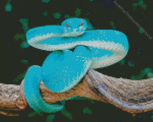 Blue Viper Snake Diamond Painting