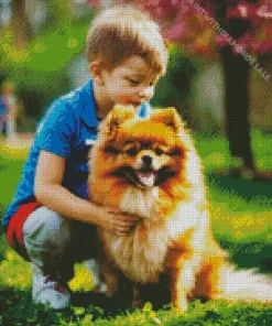 Boy Playing With Pomeranian Diamond Painting