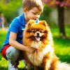 Boy Playing With Pomeranian Diamond Painting