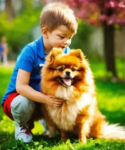 Boy Playing With Pomeranian Diamond Painting