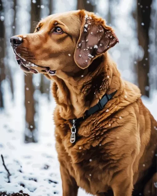 Brown Labrador In Snow Diamond Painting