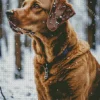 Brown Labrador In Snow Diamond Painting