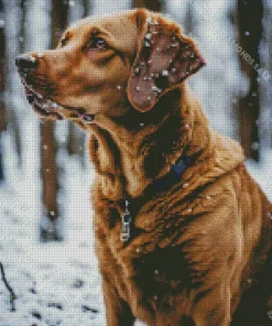 Brown Labrador In Snow Diamond Painting