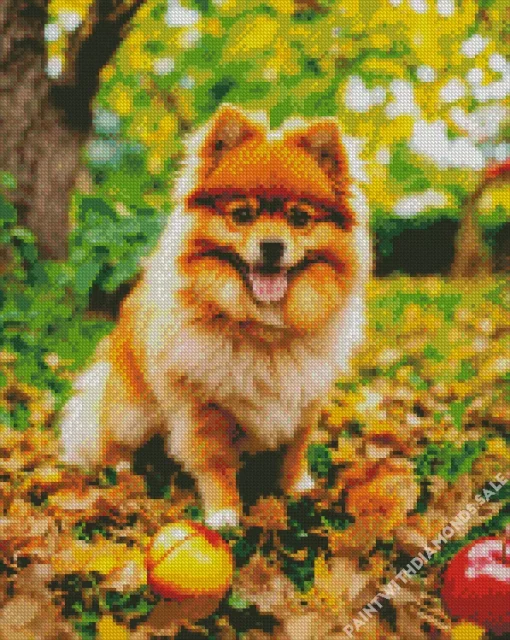 Brown Pomeranian Diamond Painting