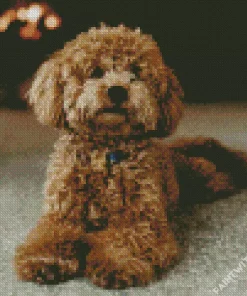 Brown Poodle Diamond Painting