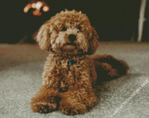 Brown Poodle Diamond Painting