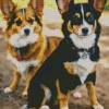 Brown And Black Border Collies Diamond Painting