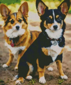 Brown And Black Border Collies Diamond Painting