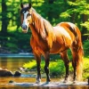 Brown Horse In Forest Diamond Painting