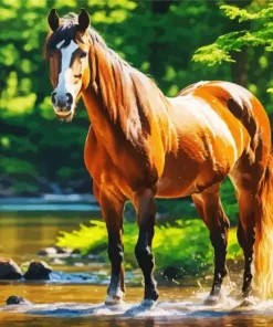 Brown Horse In Forest Diamond Painting