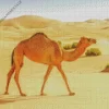 Camel Animal Diamond Painting