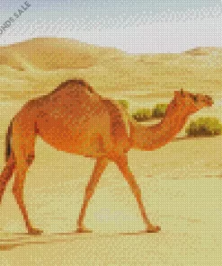 Camel Animal Diamond Painting