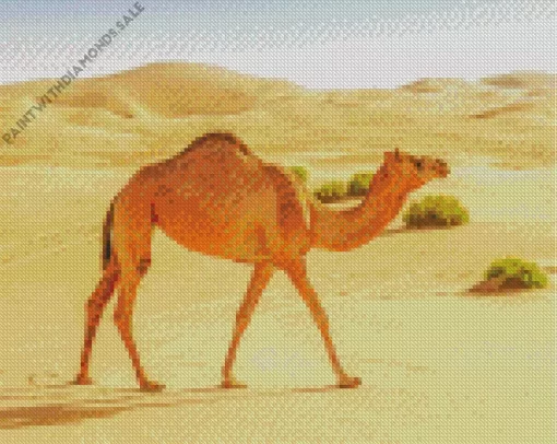 Camel Animal Diamond Painting