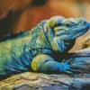 Cayman Blue Iguana Diamond Painting