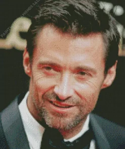 Charming Hugh Jackman Diamond Painting