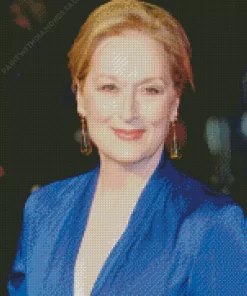 Charming Meryl Streep In A Blue Dress Diamond Painting