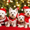 Christmas Westies Diamond Painting