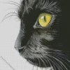 Close Up Black Cat Diamond Painting