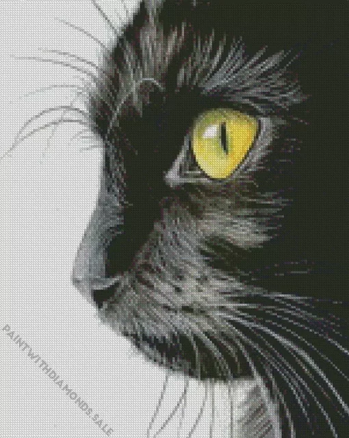 Close Up Black Cat Diamond Painting