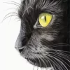 Close Up Black Cat Diamond Painting