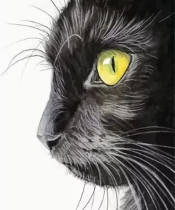 Close Up Black Cat Diamond Painting