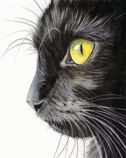 Close Up Black Cat Diamond Painting