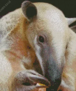 Close Up Southern Tamandua Diamond Painting