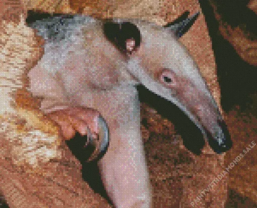 Close Up Lesser Anteater Diamond Painting