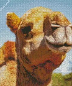 Closeup Camel Diamond Painting