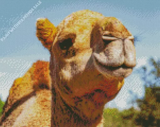 Closeup Camel Diamond Painting