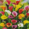 Colorful Calla Lilies Diamond Painting