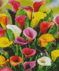 Colorful Calla Lilies Diamond Painting