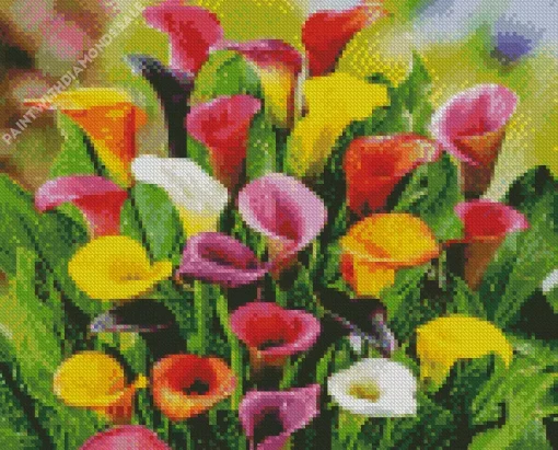 Colorful Calla Lilies Diamond Painting