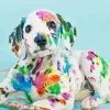 Colorful Dalmatian Puppy Diamond Painting