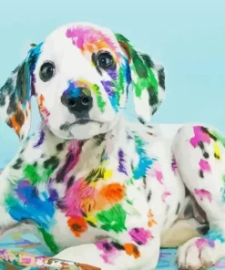 Colorful Dalmatian Puppy Diamond Painting