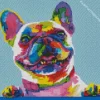 Colorful Pug Dog Diamond Painting