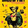 Cool Birds Of Prey Poster Diamond Painting